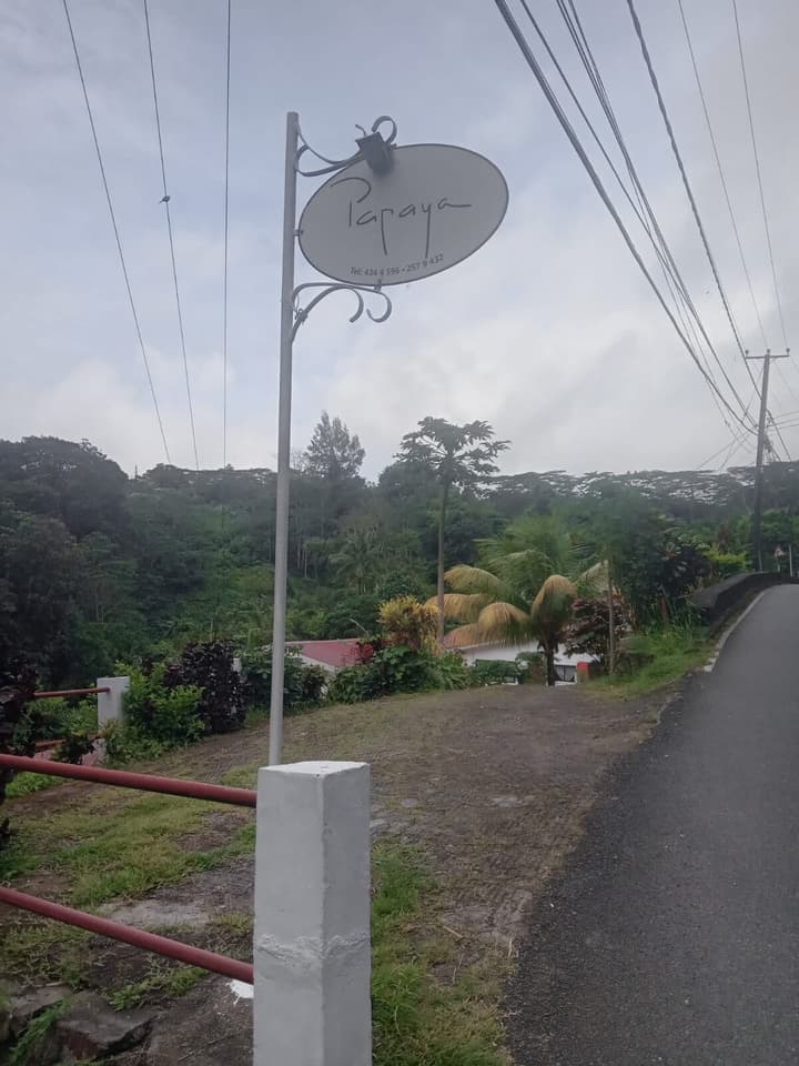 Papaya Guesthouse