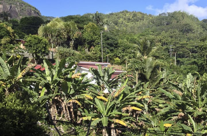 Papaya Guesthouse