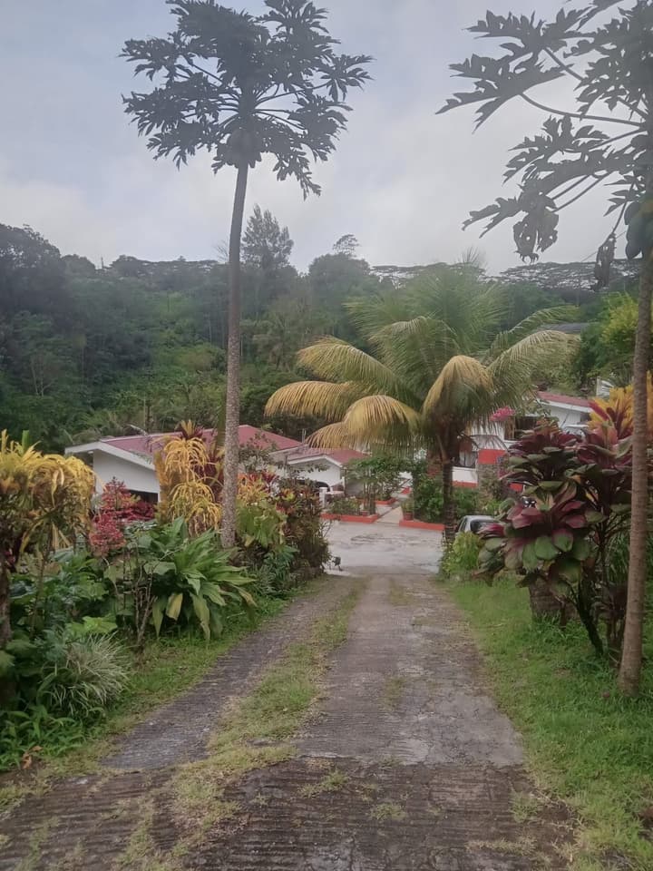 Papaya Guesthouse
