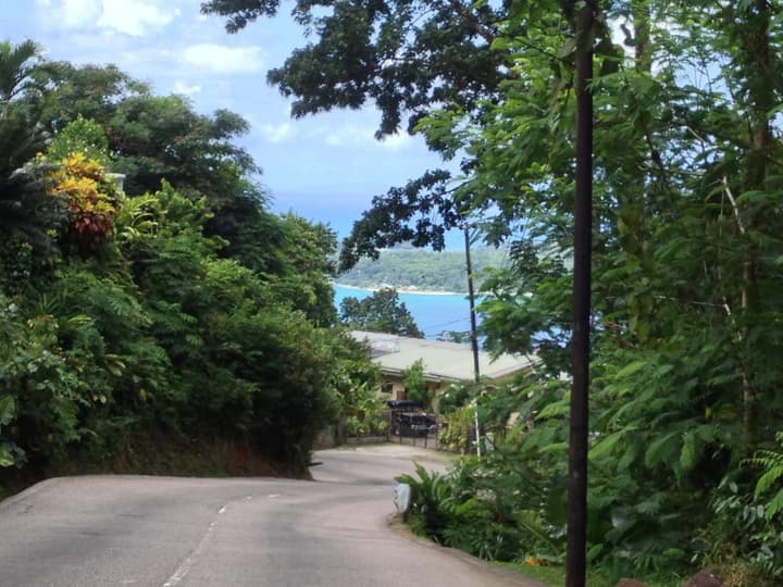 Papaya Guesthouse
