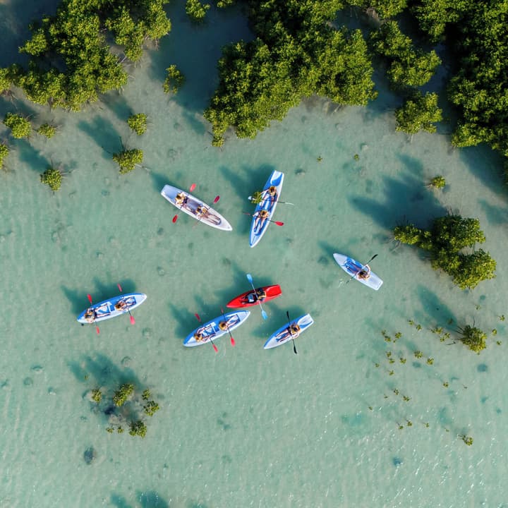 Lagoon Attitude - Adults Only
