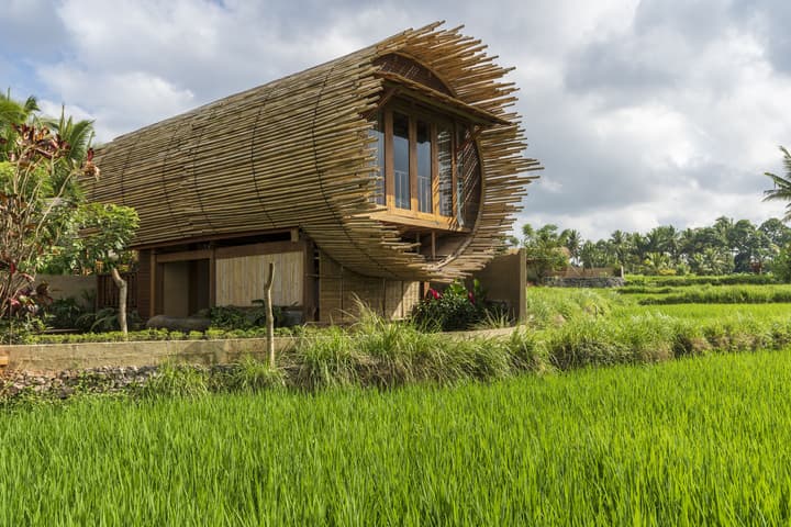 Beehouse Dijiwa Ubud