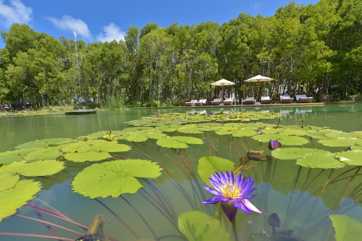 Dreamland Unique Sea and Lake Resort Spa