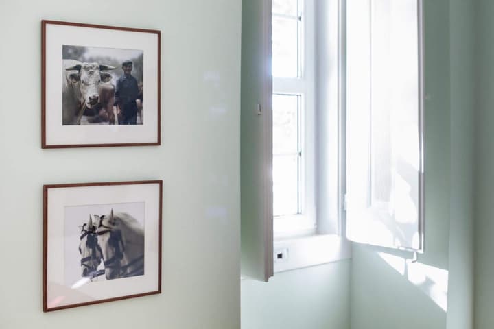 Casa do Vinho Sintra Guest House