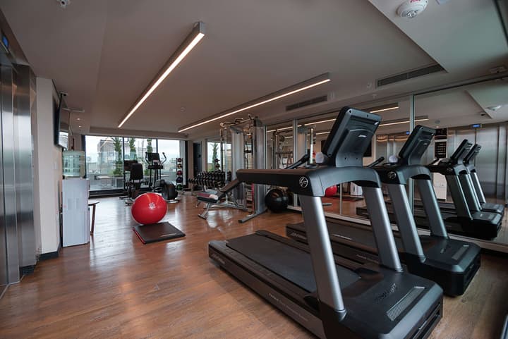 SORO Montevideo, Curio Collection by Hilton