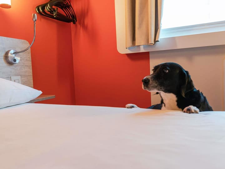 ibis budget São Caetano