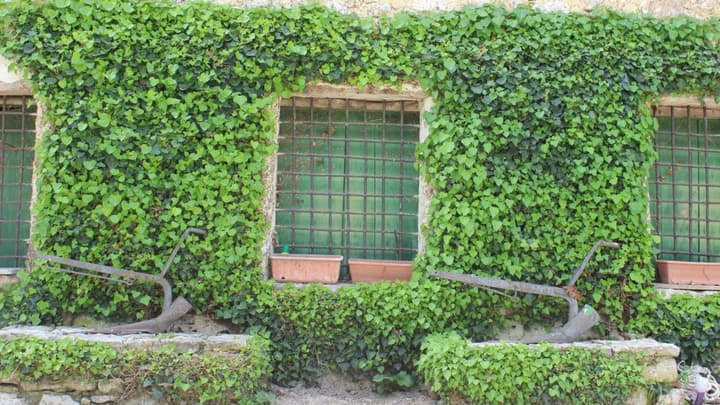 Villa Misita