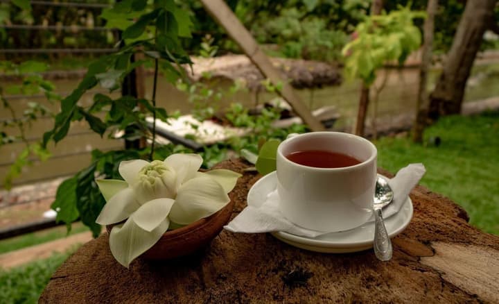 Ayur Ayur Ayurveda Retreat