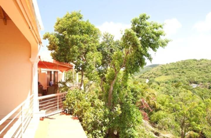 Coconut Tree Villa