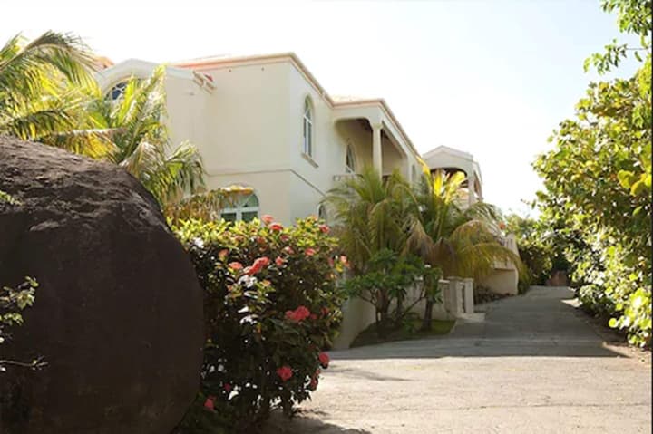Coconut Tree Villa