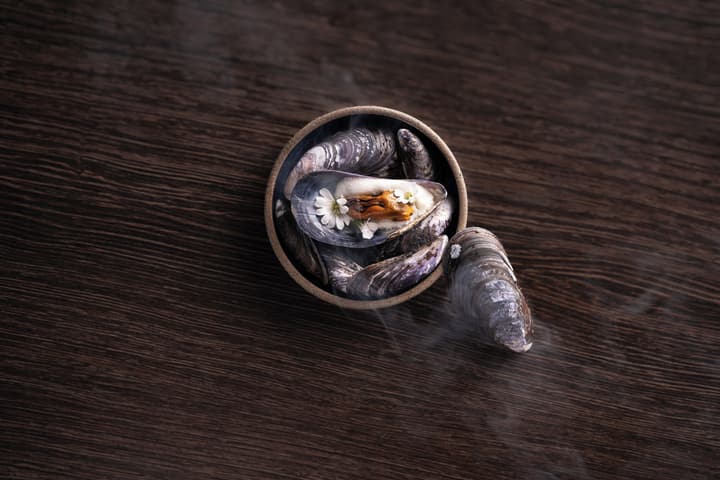 Hotel Arctic