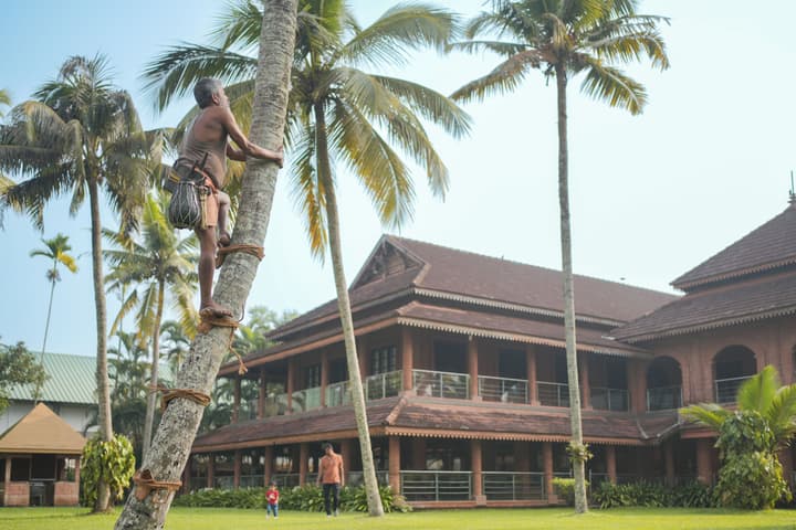 Lakesong Kumarakom