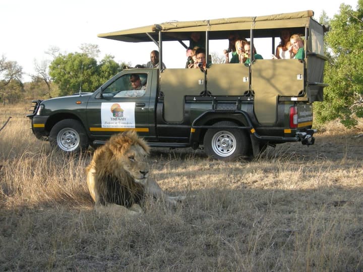 Timbavati Safari Lodge
