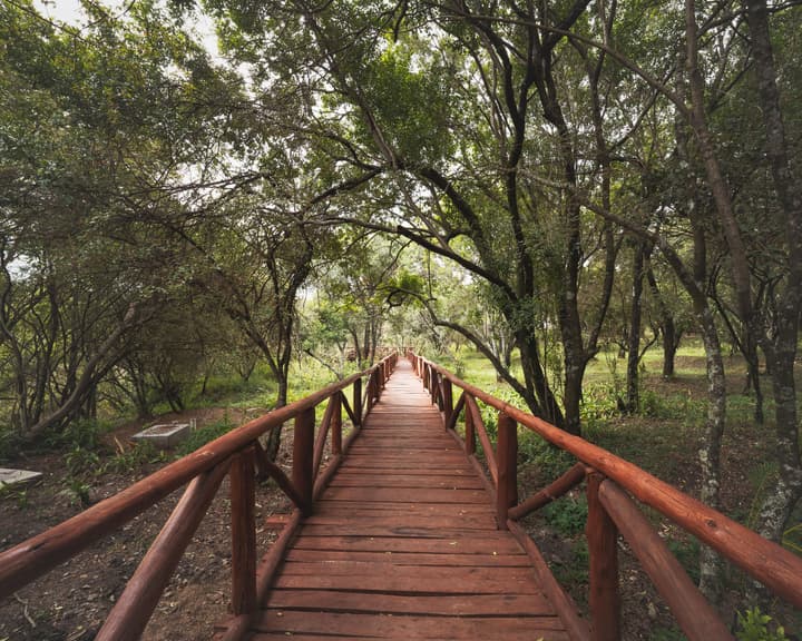 Mara Kimana Camp