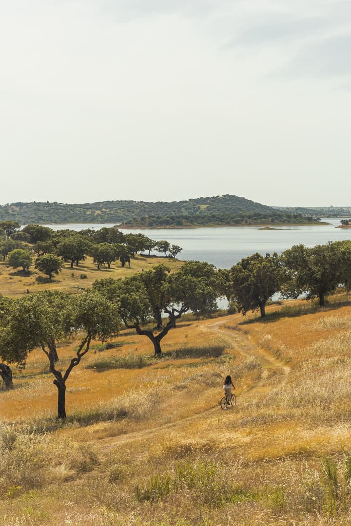 Herdade dos Delgados
