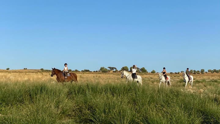 Herdade dos Delgados