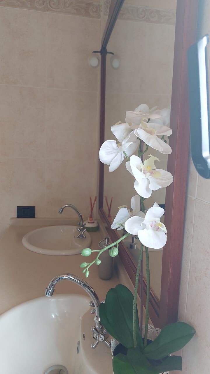 Chalet Anagato