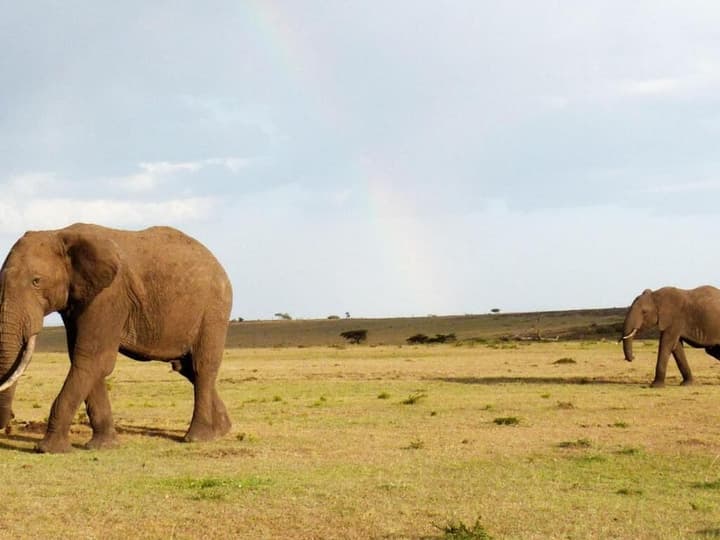Kandili Camps