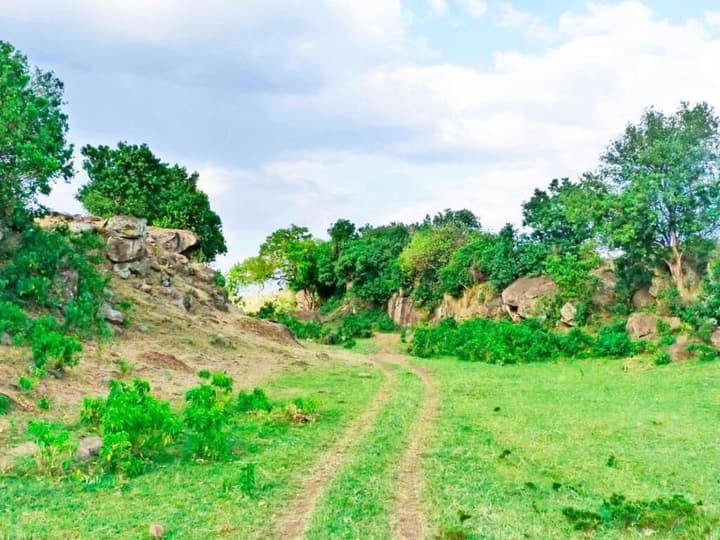 Kandili Camps