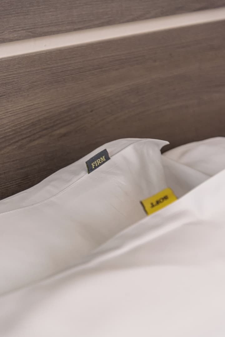 Ola Santiago Providencia, Tapestry Collection by Hilton
