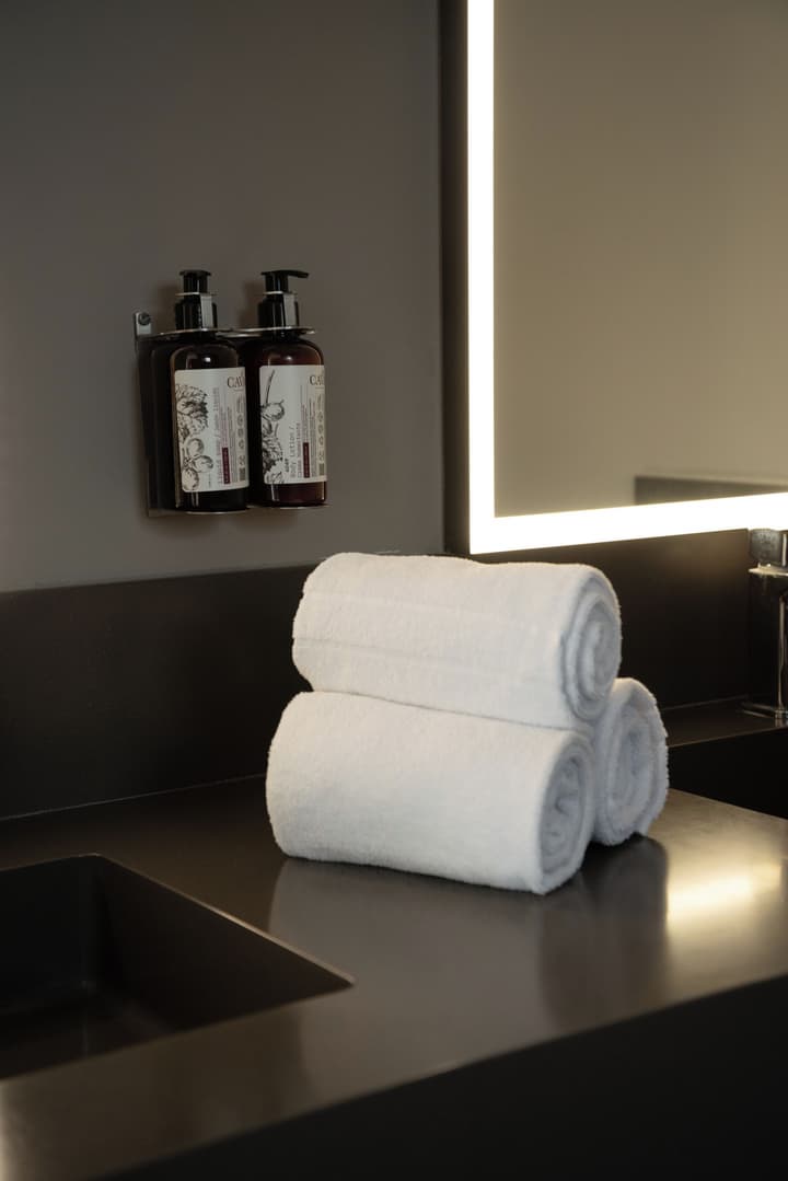 Ola Santiago Providencia, Tapestry Collection by Hilton