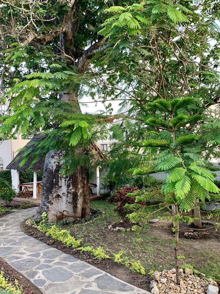 Seaclusion Diani