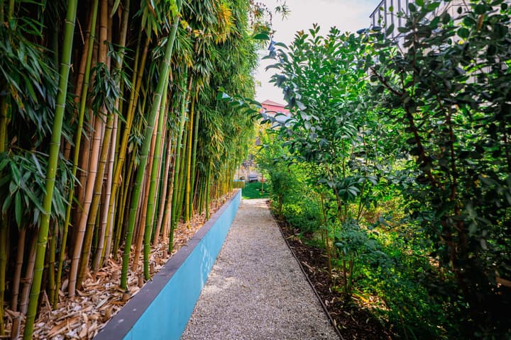 Jardim da Batalha by Shiadu