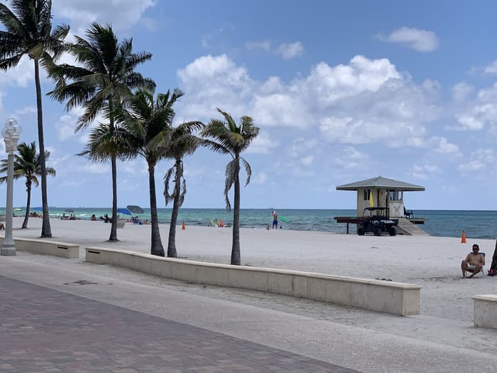 The Palms