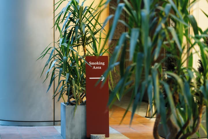 Hotel Villa Fontaine Grand Tokyo - Roppongi