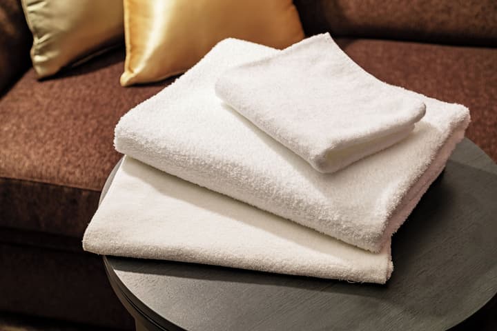 Hotel Villa Fontaine Grand Tokyo - Roppongi
