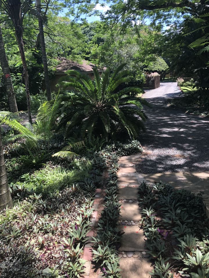 Ingwenya Lodge