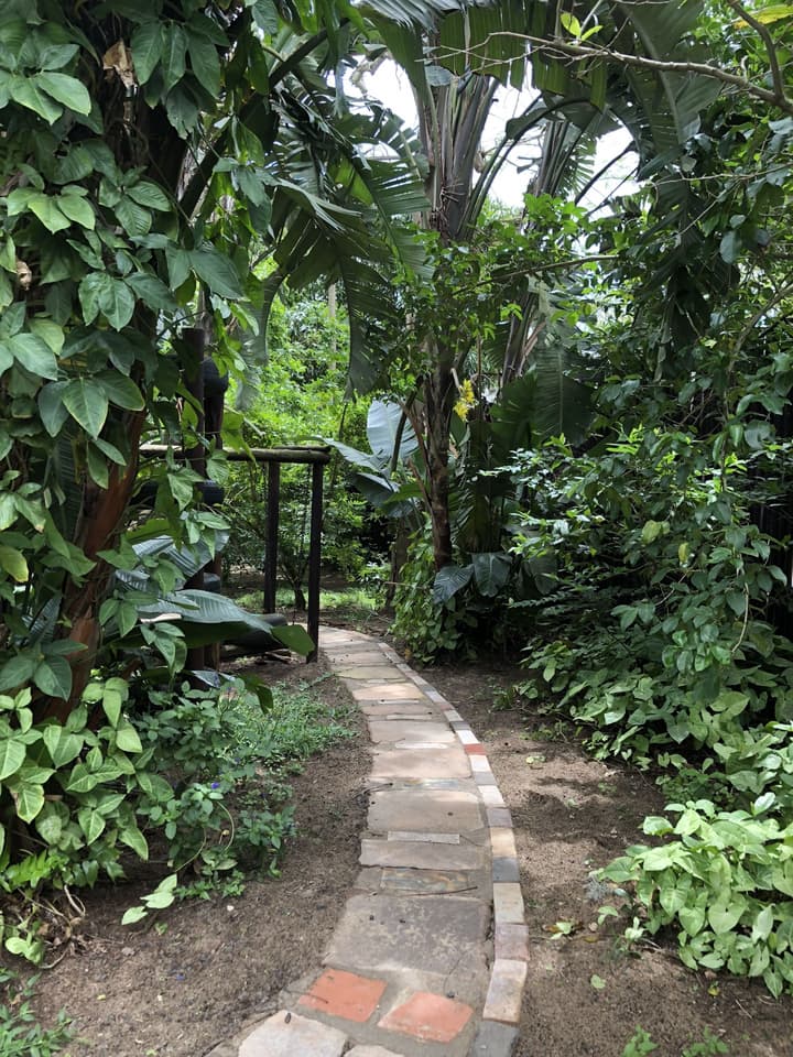 Ingwenya Lodge