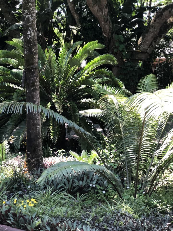 Ingwenya Lodge