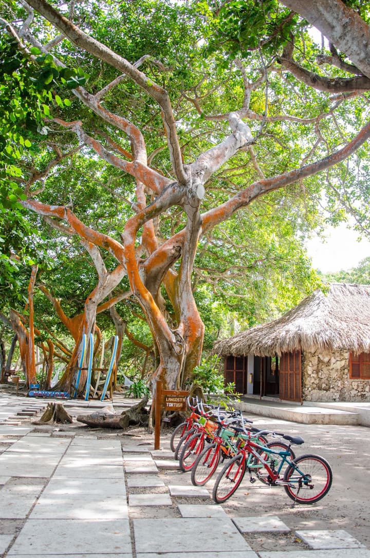 Hotel San Pedro de Majagua
