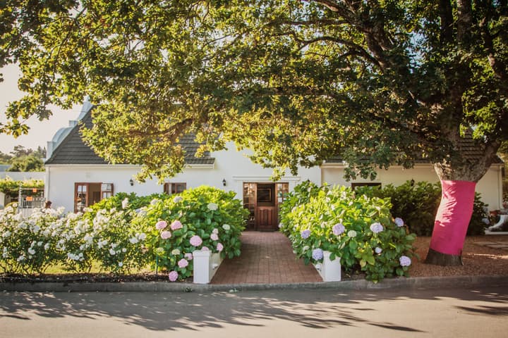 Aan de Oever Guesthouse