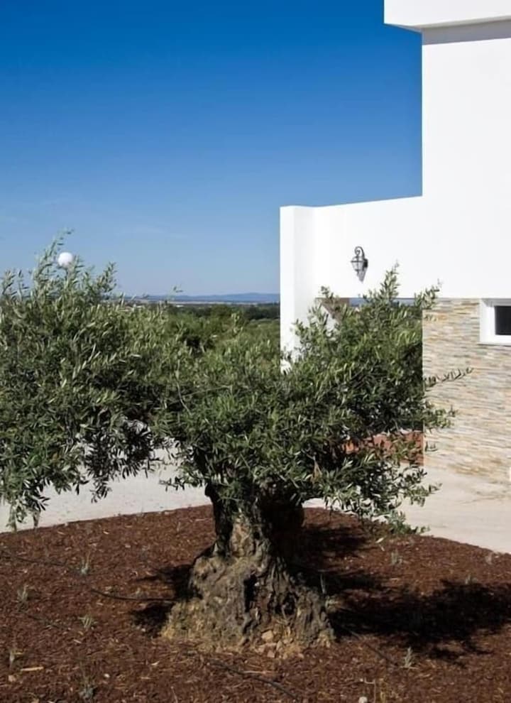 Hotel Quinta Dos Bastos