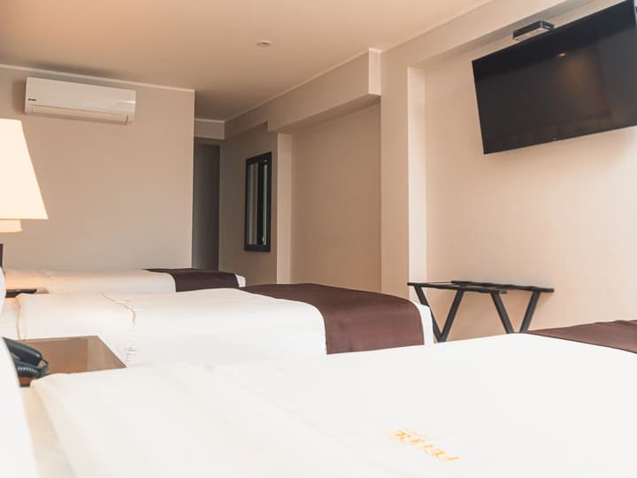Hotel Ferre Miraflores