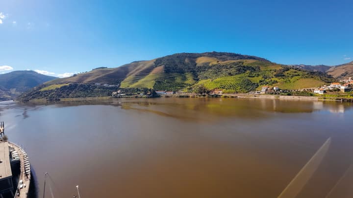 Hotel Folgosa Douro