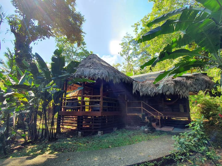 Cariblue Beach and Jungle Resort
