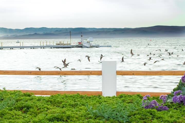 Hotel Paracas, a Luxury Collection Resort, Paracas