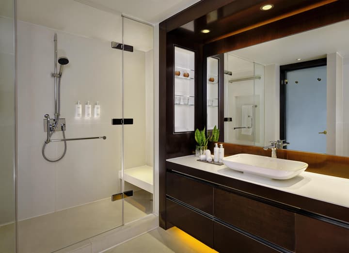 Park Plaza London Westminster Bridge