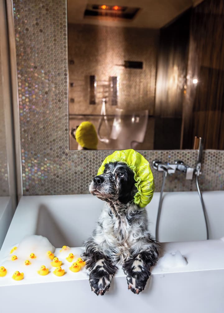 Milan Suite Hotel