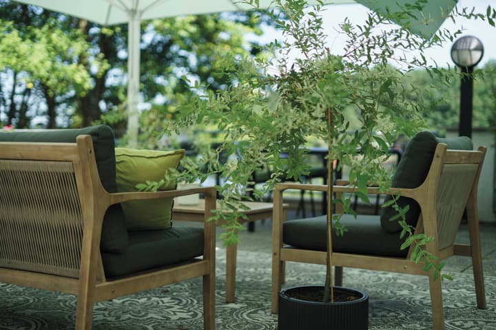 Seminaris Avendi Hotel Potsdam