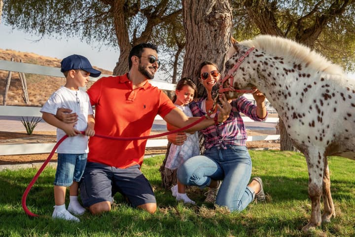 The Ritz-Carlton Ras Al Khaimah, Al Wadi Desert
