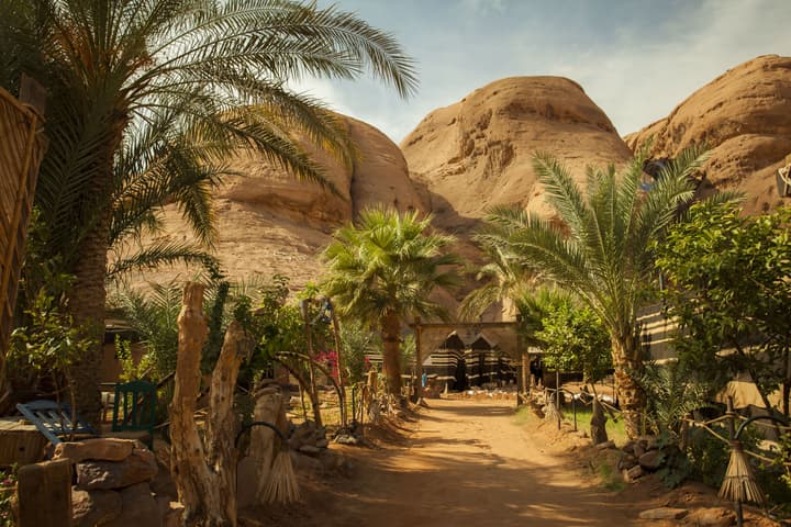 Captain's Desert Camp