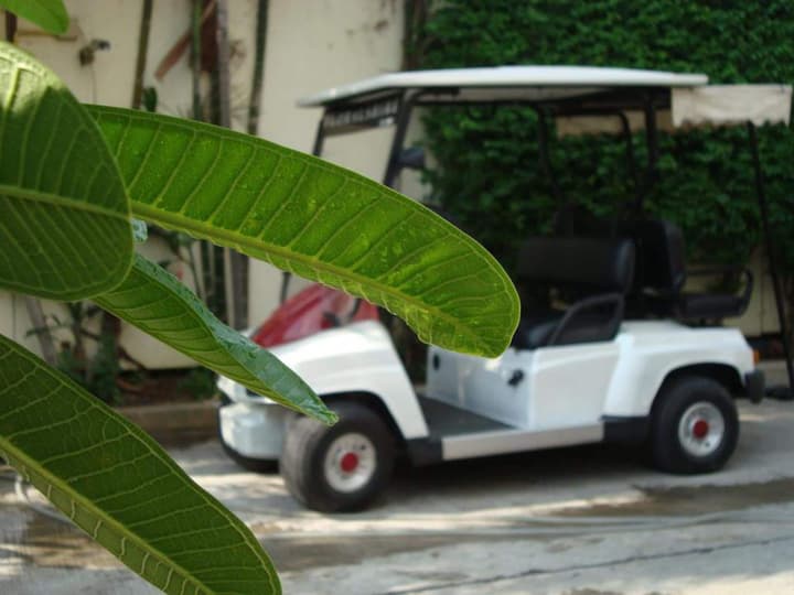 Floral Shire Resort