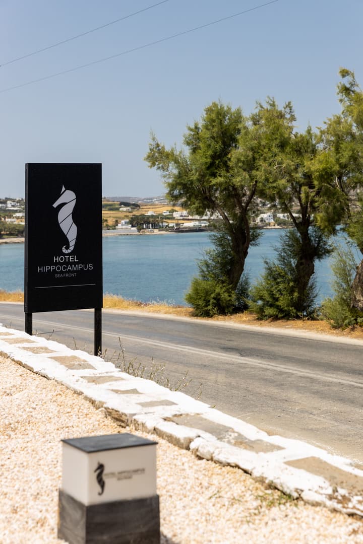 Hotel Hippocampus