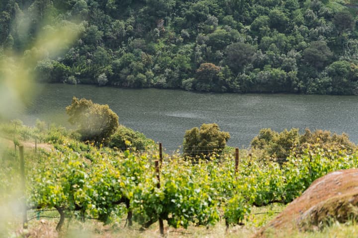 Douro Palace Hotel Resort and Spa