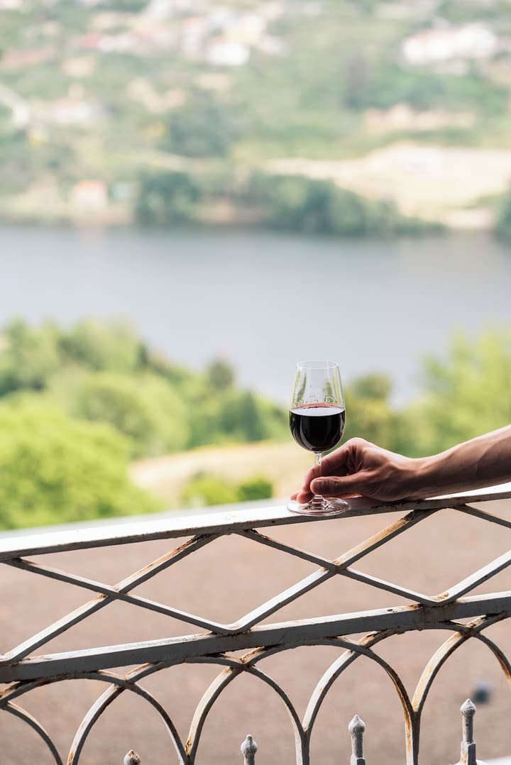 Douro Palace Hotel Resort and Spa