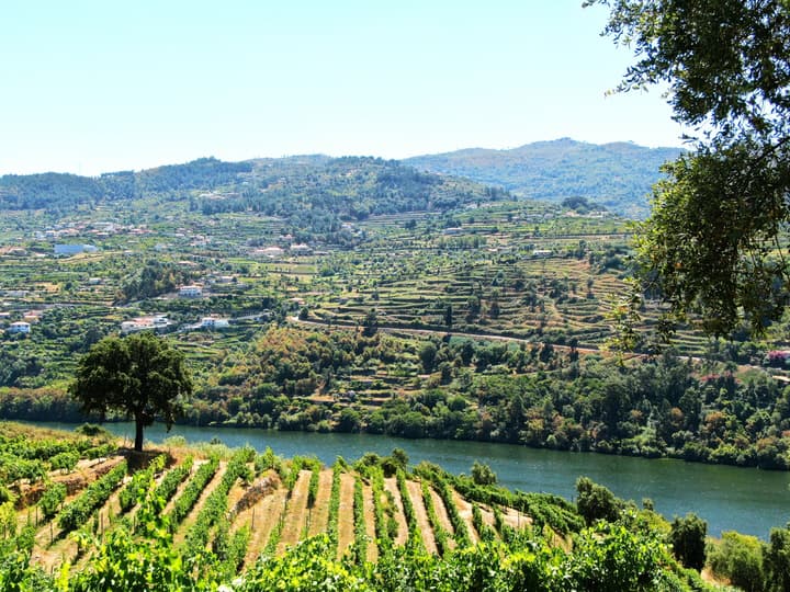 Douro Palace Hotel Resort and Spa